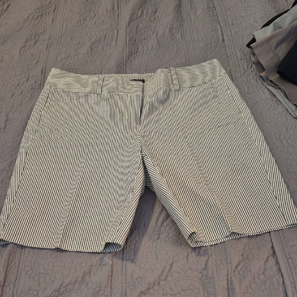 Ann Taylor Navy and White Striped Shorts